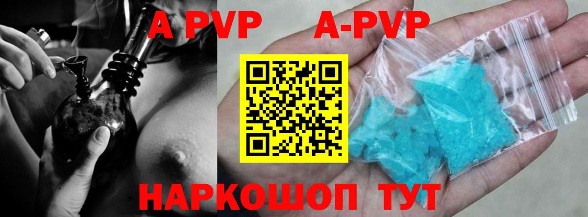 A-PVP СК КРИС Гусев