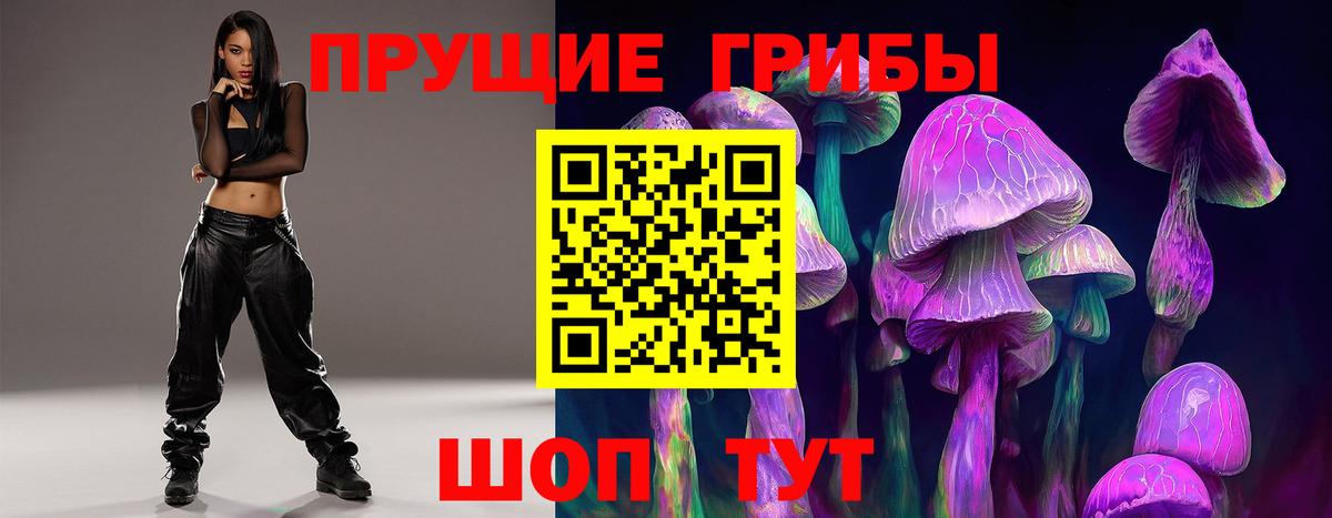 Псилоцибиновые грибы Magic Shrooms  Вход с VPN  сколько стоит  Гусев 